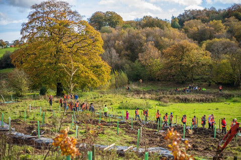 Protecting the planet, one tree at a time | LOFT at Oak Apple Farm