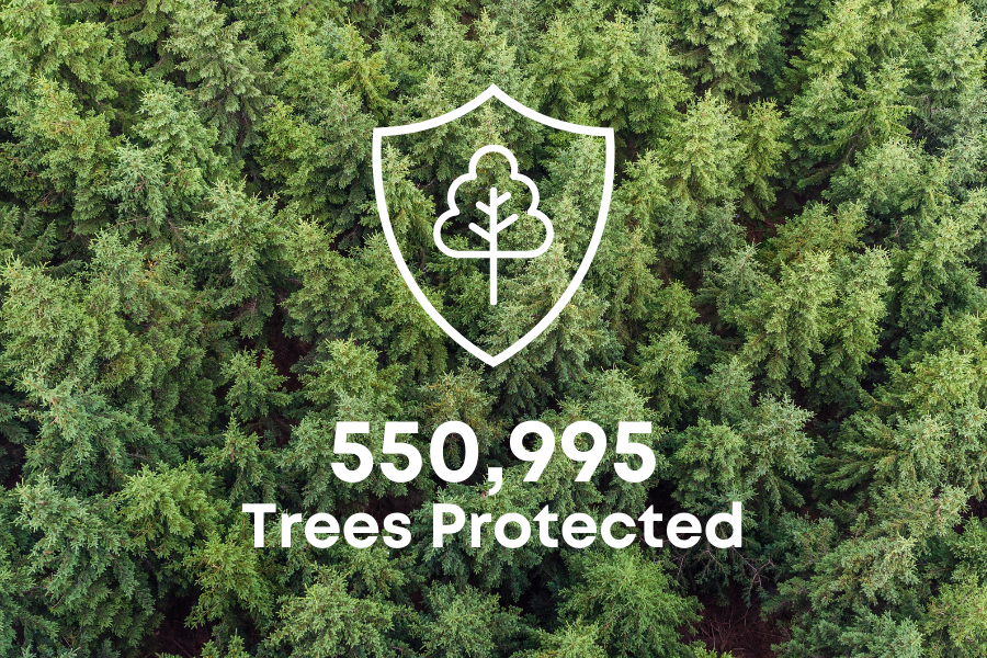 Protecting Half a million trees