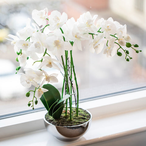 Faux Wild Orchid Plant