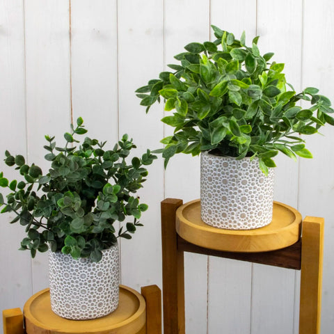 Faux Plant