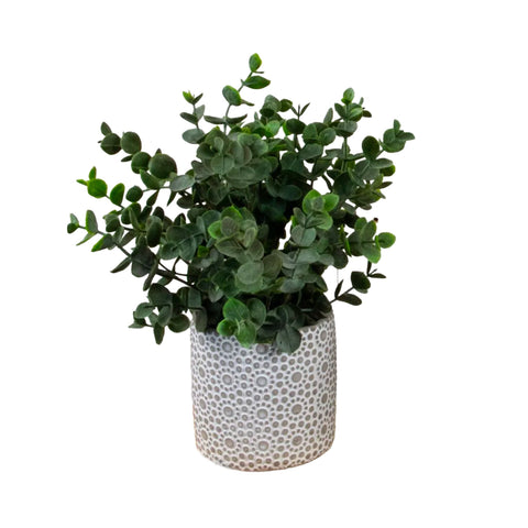 Faux Plant