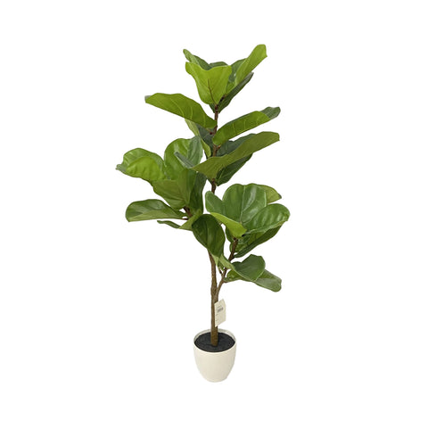 Faux Fig Plant