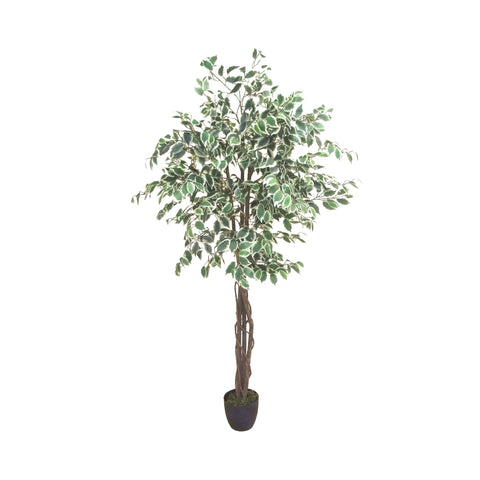 Faux Ficus