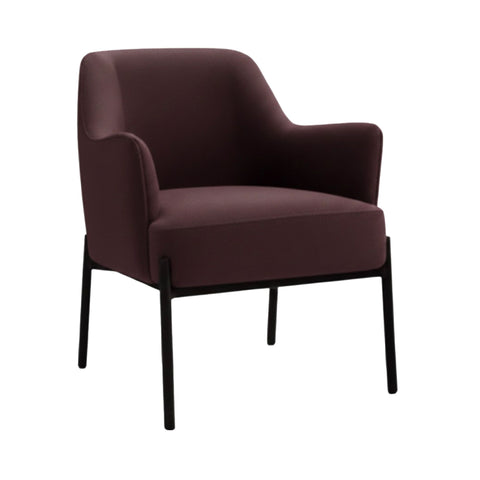 Dion Occasional Chair