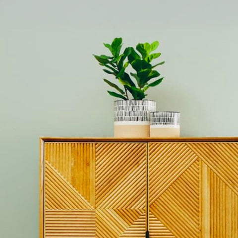 Javo Planter