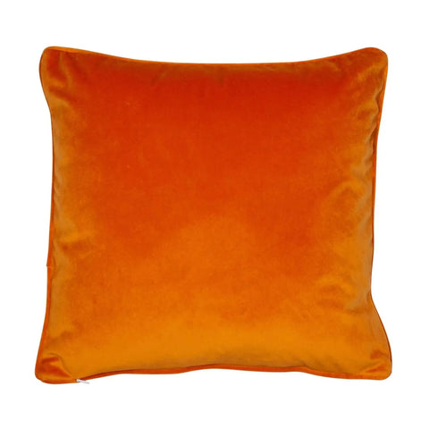 Plush Velvet Cushion