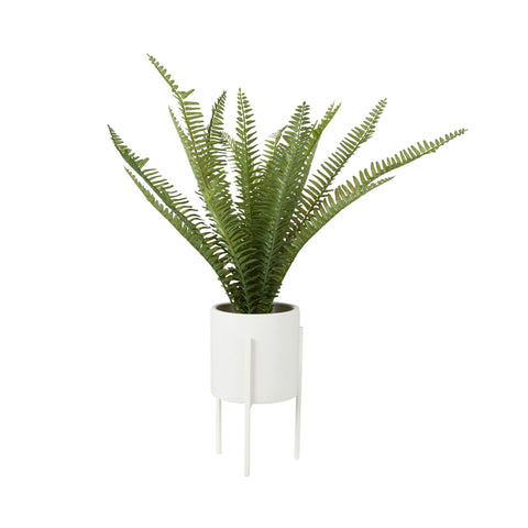 Faux Fern With White Plant Pot