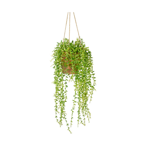 Faux Hanging Senecio