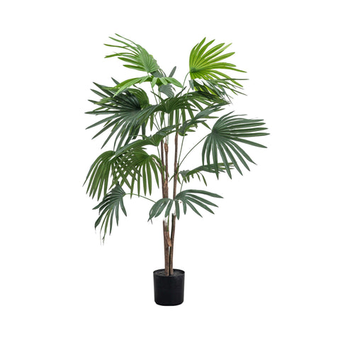 Faux Chinese Palm