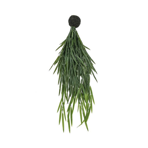 Faux Rhipsalis