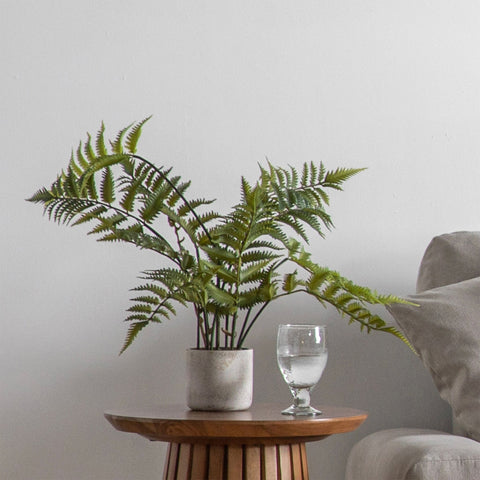 Faux Fern In Cement Pot