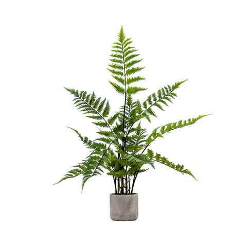 Faux Fern In Cement Pot
