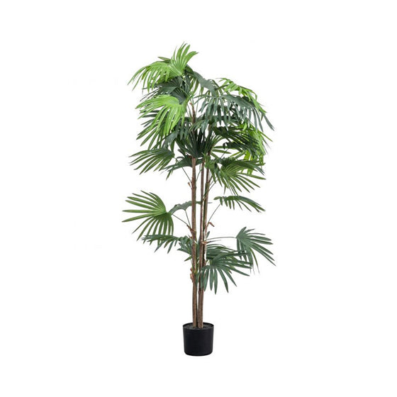 Faux Chinese Palm